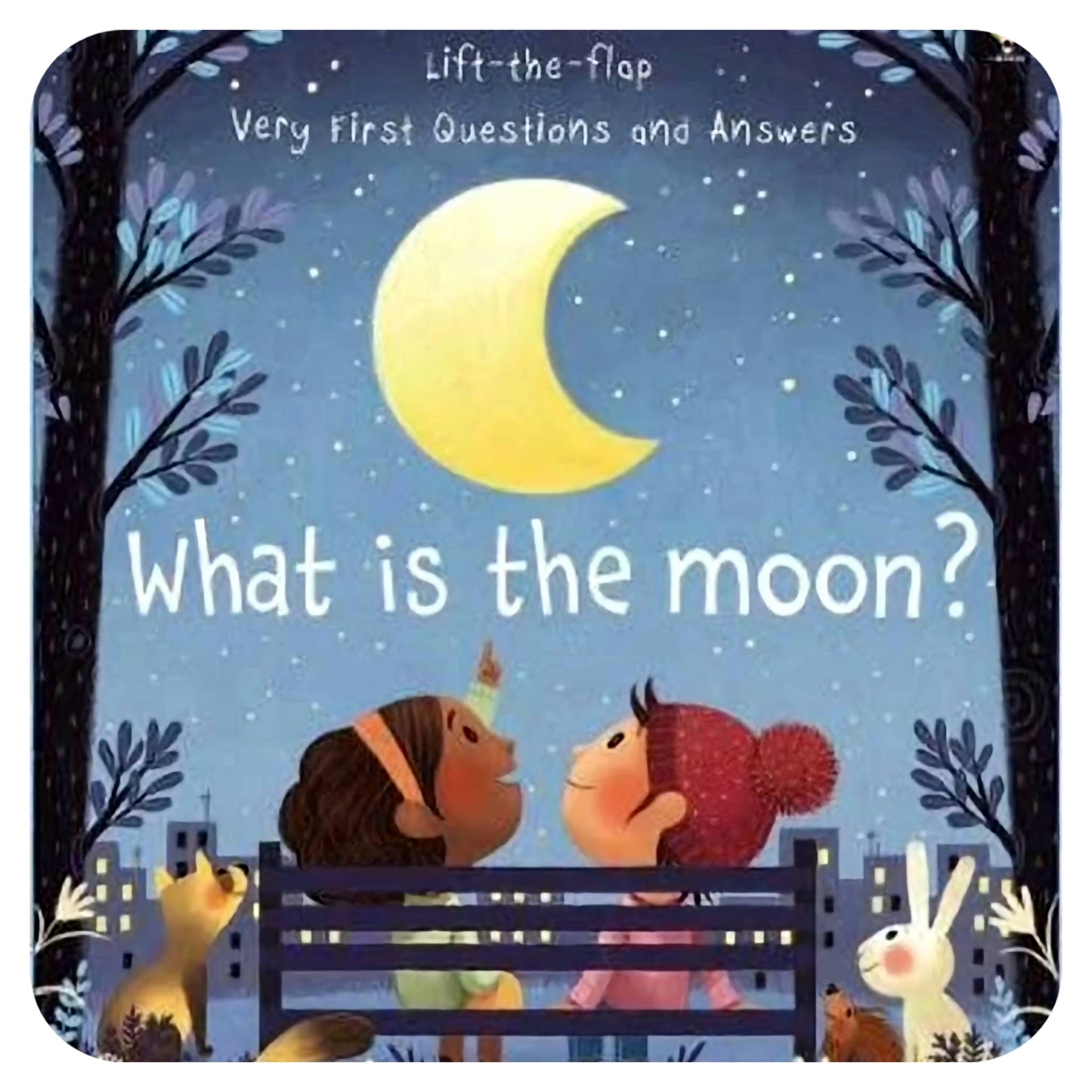 What is the Moon?