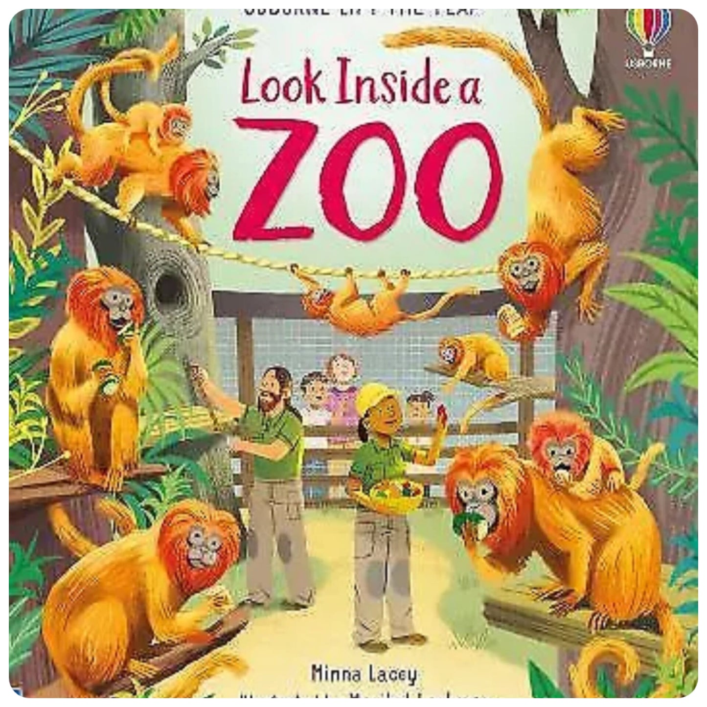 Usborne Look Inside a Zoo