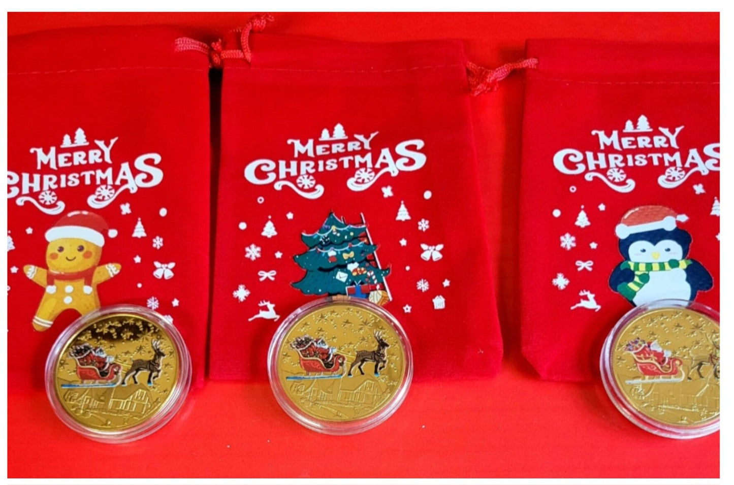 Santa's Lost Pocket Money Coin Red Christmas Pouch and Special North Pole Coin!