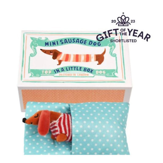 Sausage Dog In A Little House Toy